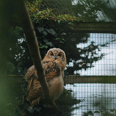 Free VPN Download - 3月30日22.9M/S|免费Singbox节点/SSR节点/V2ray节点/Trojan节点/Shadowrocket节点/Clash节点节点推荐，V2ray梯子购买推荐