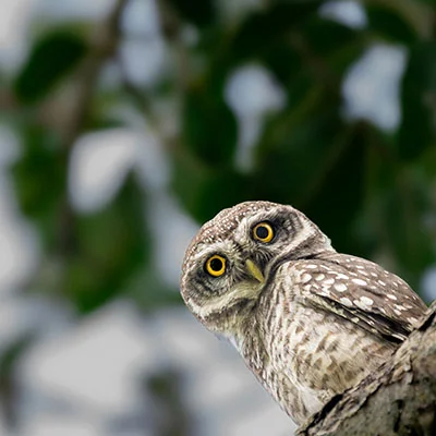 Free VPN Download - 3月28日21.4M/S|免费Trojan节点/Clash节点/Shadowrocket节点/V2ray节点/Singbox节点/SSR节点节点推荐，V2ray梯子购买推荐