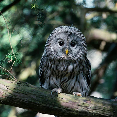 Free VPN Download - 3月21日23M/S|免费SSR节点/V2ray节点/Singbox节点/Shadowrocket节点/Trojan节点/Clash节点节点推荐，V2ray梯子购买推荐