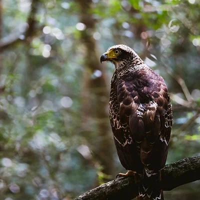 Free VPN Download - 3月14日22.8M/S|免费Trojan节点/V2ray节点/Singbox节点/Clash节点/Shadowrocket节点/SSR节点节点推荐，V2ray梯子购买推荐